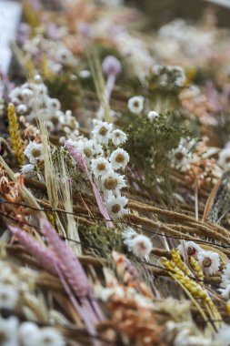 Yakından bakıldığında, açık ve güneşli bir günde Bükreş 'te doğanın güzelliğini vurgulayan, sanatsal olarak düzenlenmiş renkli bir çiçek çeşidi görülüyor..