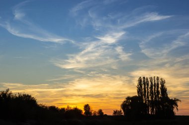 Göz kamaştırıcı bir günbatımı ufku sıcak renklerle aydınlatırken uzun ağaçlar, açık havada, renkli bir akşam gökyüzüne karşı siluet halinde duruyorlar..
