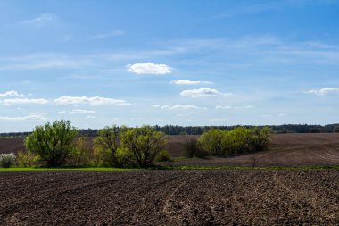 Tarım arazileri, güneşli bir gökyüzünün altında verimli kahverengi toprak ve canlı yeşil yapraklar sergiliyor. Bu da kırsal kesimde ilkbaharın başladığını gösteriyor..
