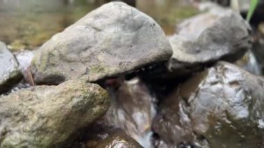 Dağlarda taşlarla dolu bir nehir 