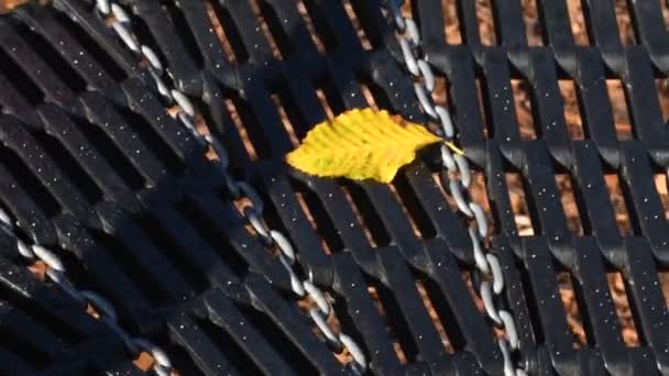 Jesienny Namalowany Liść Powolnym Huśtawce — Wideo stockowe