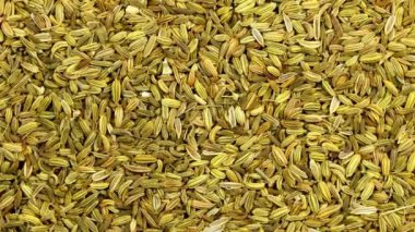 Rezene tohumu, tıbbi ilaç ve baharat bir tablonun üzerinde, düz görüş, yakın çekim