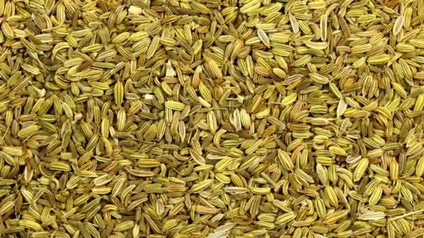 Fennel Seeds Medicinal Drug Spice Turn Table Flat View Closeup — Stock Video