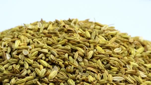 Fennel Seeds Medicinal Drug Spice Turn Table — Stock Video