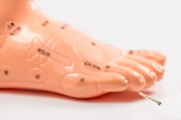 Acupuncture Needle Acupuncture Foot Model — Stock Photo, Image