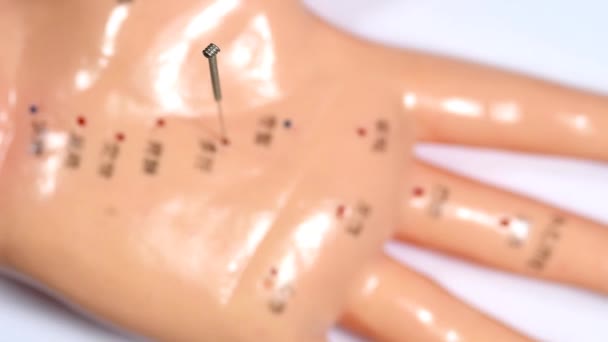 Jarum Akupunktur Dalam Model Tangan Akupunktur Pada Tabel Putar — Stok Video