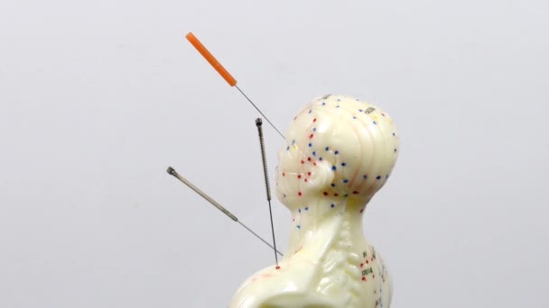转盘上针灸模型上的针头 — 图库视频影像