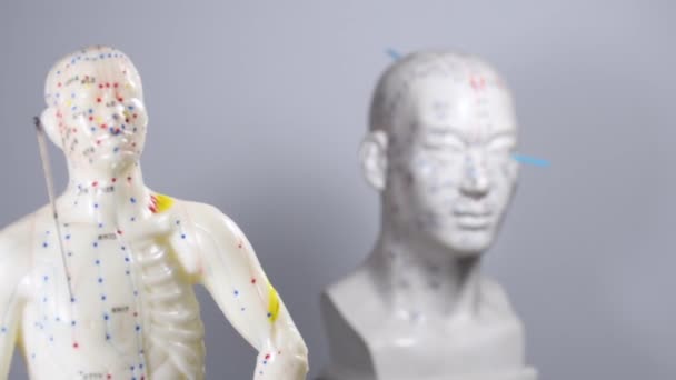 Acupuncture Models Body Head Needles Camera Drive Forward — Vídeo de stock