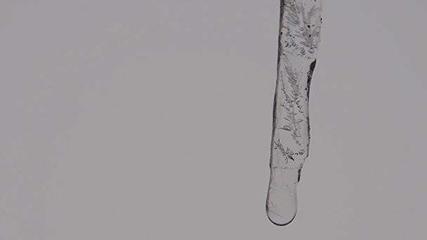 Dripping Icicle Winter Germany — Stockvideo