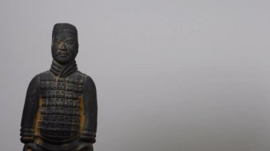 acupuncture head  model with Chinese clay soldier and camera panning