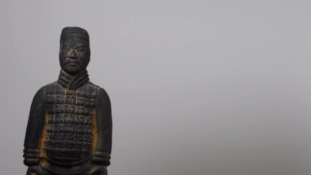 Acupuncture Head Model Chinese Clay Soldier Camera Panning — Vídeo de stock