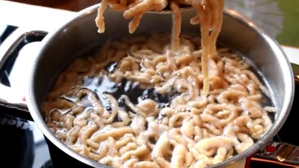 Cucinare Spaghetti Spaetzle Svevo Una Tipica Gastronomia Tedesca — Video Stock
