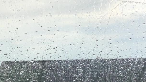 Krople Deszczu Rozpryskują Się Oknie — Wideo stockowe
