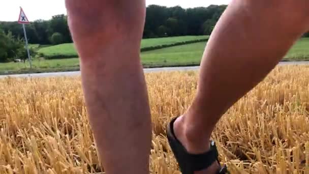 독일의 여름에 골밭을 카메라가 각도로 샌들을 — 비디오