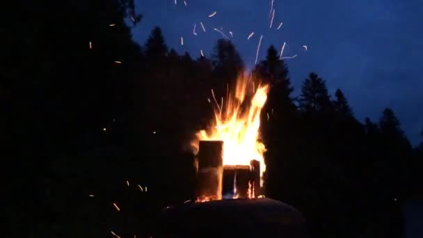 Campfire Fire Barrel Night — Stock Video