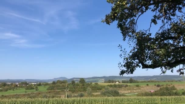 Almanya Baden Wuerttemberg Deki Panoramik Manzara Ağacın Üzerinde Olgun Elma — Stok video
