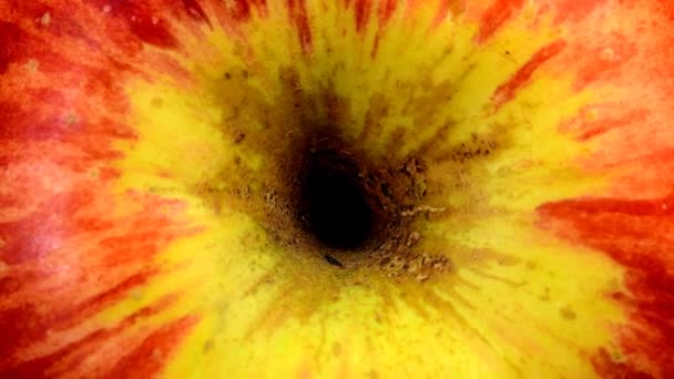 ターンテーブルの赤と熟したリンゴ 上部への平らな眺め フルフレーム — ストック動画