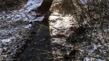 Almanya 'da kış mevsiminde güneş ışınları ve buz saçakları olan vahşi dere, buz saçaklarıyla çağlayan çağlayanın yakınına doğru çekiliyor.