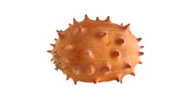 Kiwano döner ve kesiğin makro görüntüsüne karışır