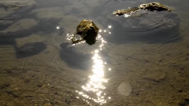 Stein Einem Fluss Mit Glitzernden Sonnenstrahlen Zoomen Sie Die Funkelnden — Stockvideo