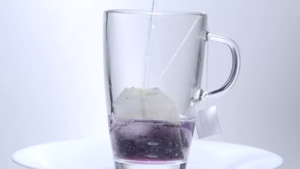 成熟的玫瑰臀 配冰柱 配上玫瑰臀茶 — 图库视频影像