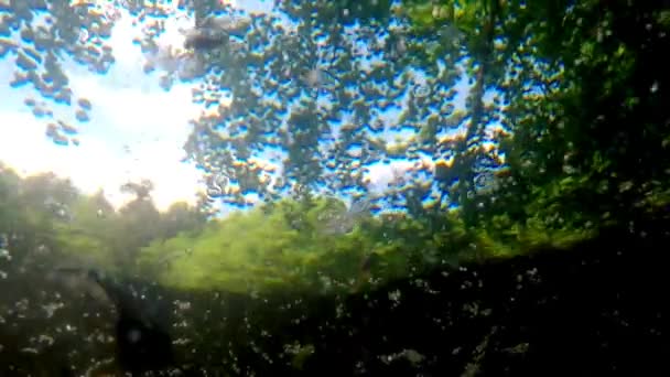 ドイツの春の池のポリウィッグ 空を見下ろす水中ビュー — ストック動画