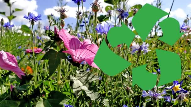 Tournant Signe Recyclage Sur Une Prairie Verte Avec Des Fleurs — Video