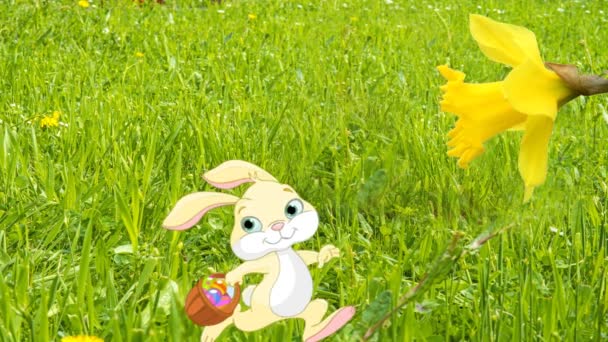 Mensaje Pascua Feliz Pascua Con Narciso Nido Pascua Animación — Vídeos de Stock
