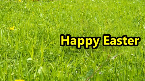 Feliz Pascua Mensaje Prado Verde Con Conejito Pascua Corriendo Cesta — Vídeos de Stock
