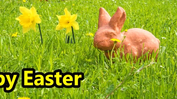 复活节快乐 带着复活节兔子和水仙花的绿色草地上的信息 — 图库视频影像