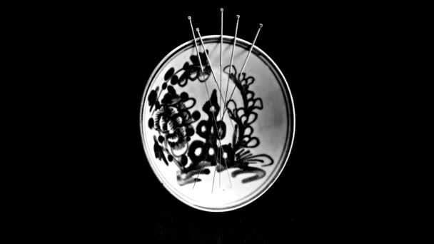 Aghi Agopuntura Una Ciotola Cinese Girando Cerchio — Video Stock