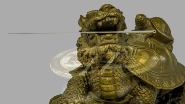 Βελόνες Βελονισμού Στο Στόμα Μιας Χελώνας Και Αντίκες Chines Κέρμα — Αρχείο Βίντεο
