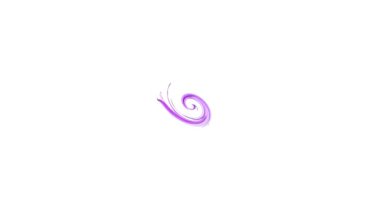Renkli spiral büyüyor ve beyaz boş bir arkaplan açıyor