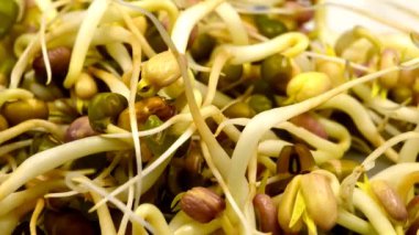 soya fasulyesi kıvrımlı bir masada, makro manzaralı.