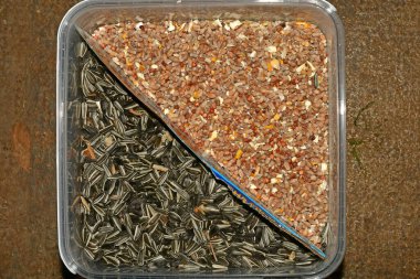 Bird food, sunflower seeds and grain clipart