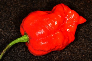 Carolina Reaper, dünyanın en acı biberi 2021.