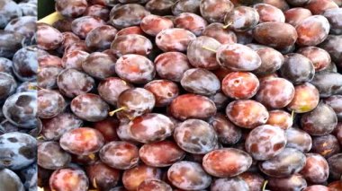 Erikler, Alman meyveleri sağa sola hareket ediyor.