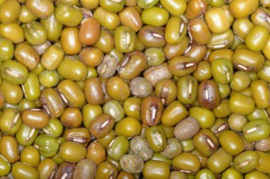 Mung fasulyeleri yakın planda.