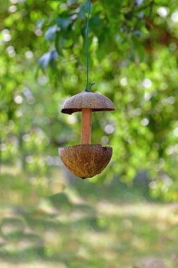 Yarım hindistan cevizi kabuğundan yapılmış kuş besleme evi bulanıklaştırılmış