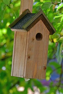 Yazın ağaçta bir kuş evi