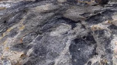 Mercan fosilli Jurasik kireç taşı, kamera uçuşu ile yakın plan.