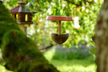 Yarım hindistan cevizi kabuğundan yapılmış kuş besleme evi.