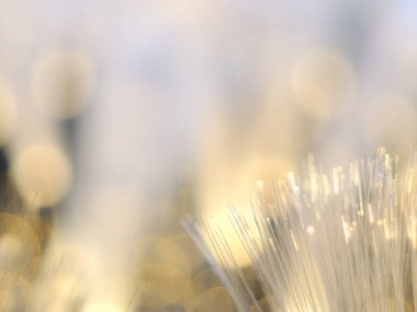 light abstract background. blurred beautiful glowing pastel.