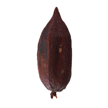 Beyaz arka plan üzerinde izole kakao pod