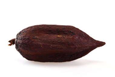 Beyaz arka plan üzerinde izole kakao pod