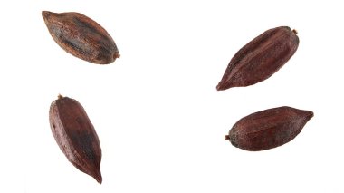 Top view of dried cacao fruit isolated on white background clipart