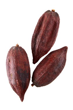 Beyaz arka planda izole edilmiş kurutulmuş kakao meyvesinin üst görünümü