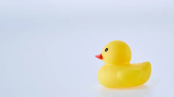 Yellow rubber toy ducks isolated on a white background