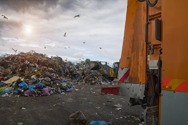 Planierraupe Arbeitet Auf Mülldeponie Mit Vögeln Himmel — Stockfoto
