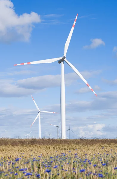 Landschap Met Windkrachtcentrale Veld Van — Stockfoto